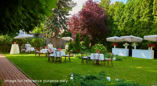 party-lawn