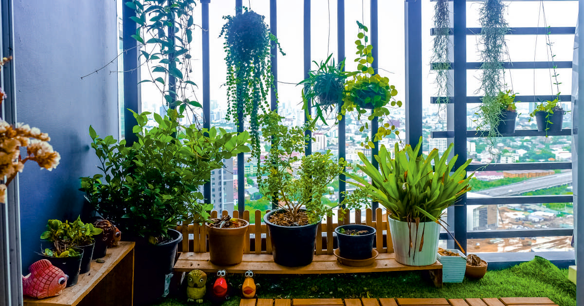 5 Gardening Ideas & Tips for a Small Balcony