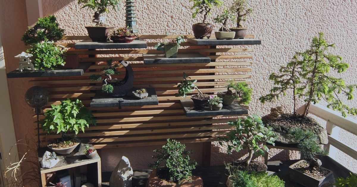 5 Best Indoor Gardening Ideas for Your Modern Home